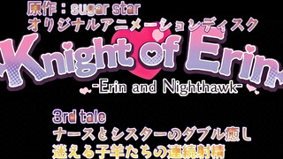 Knight of Erin 3